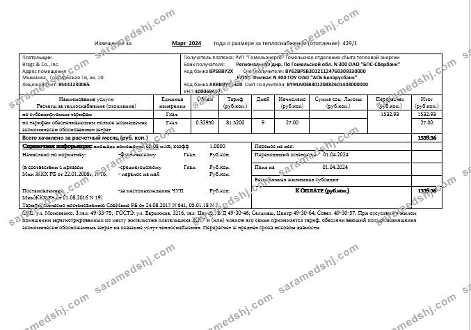 Belarus Gomel energo business utility bill template in .doc and .pdf format, fully editable